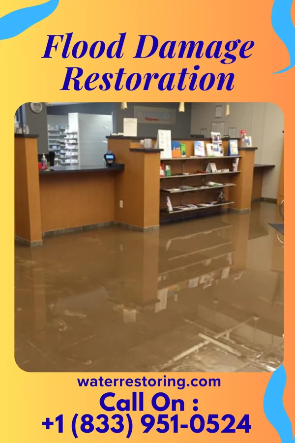 Flood Damage Restoration in Stantonsburg, NC