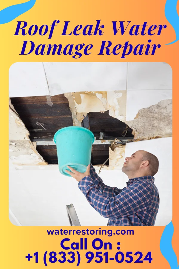 Roof Leak Water Damage Repair in Stantonsburg, NC